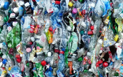 “Vivir sin plástico”. Una pàgina web que ens ensenya a viure sense plàstic